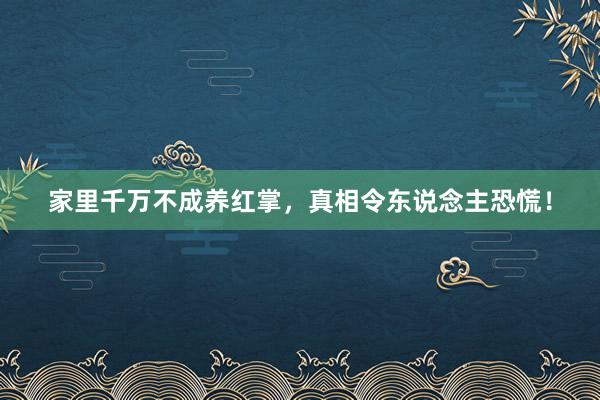 家里千万不成养红掌，真相令东说念主恐慌！