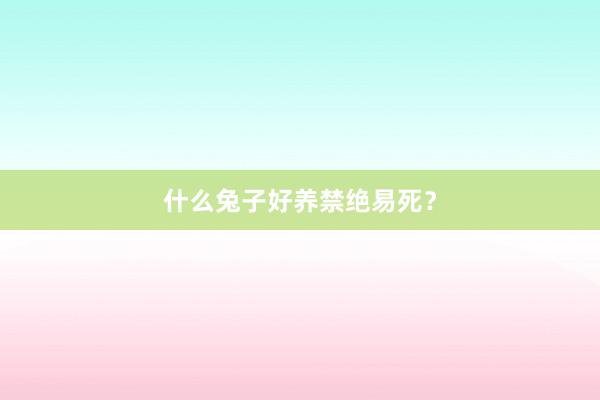 什么兔子好养禁绝易死？